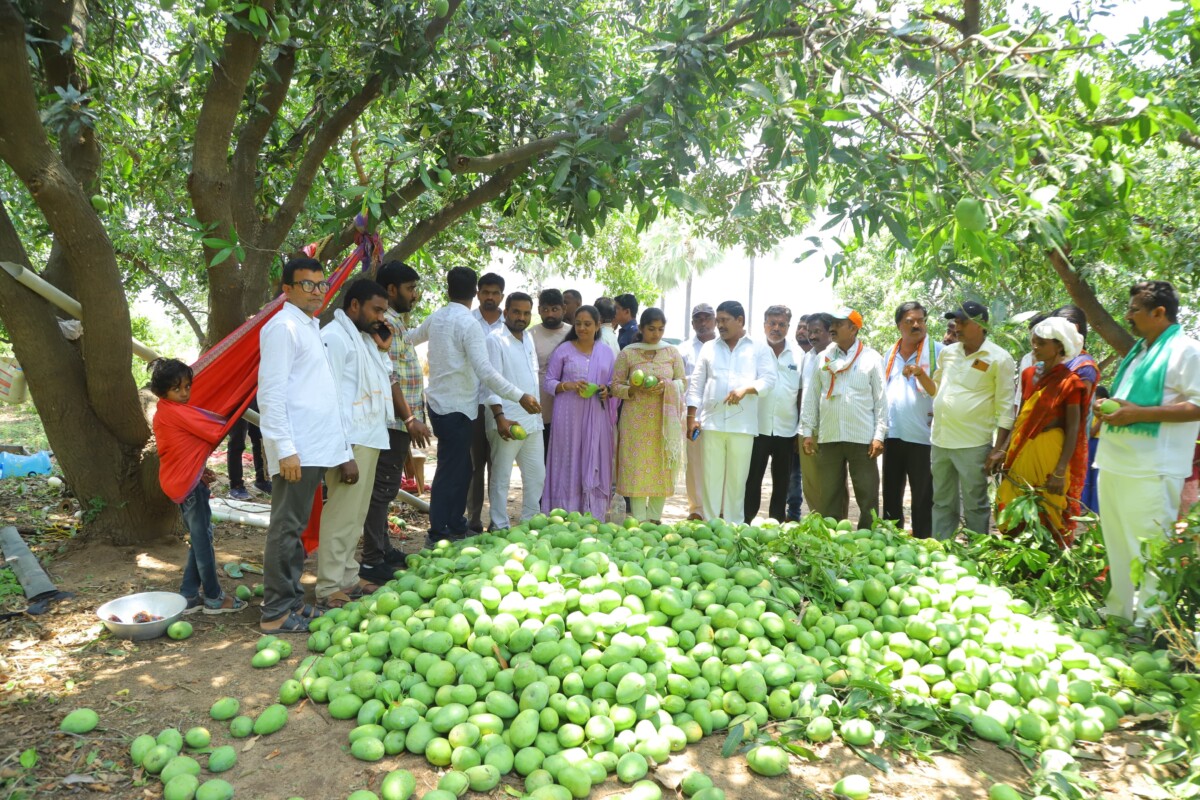 మామిడి రైతులను, ఇండ్లు కూలిపోయిన బాధితులను ఆదుకుంటాం..