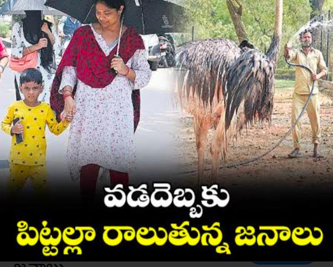 తెలంగాణ రాష్ట్ర వ్యాప్తంగా వడదెబ్బకు నలుగురు మృతి