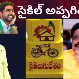 టీడీపీ బాధ్యతలు లోకేష్‌కు అప్పగించాలి