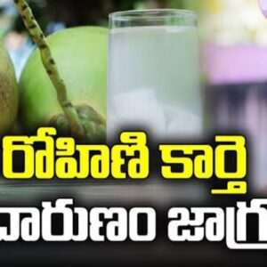 రోహిణి కార్తే ప్రారంభం