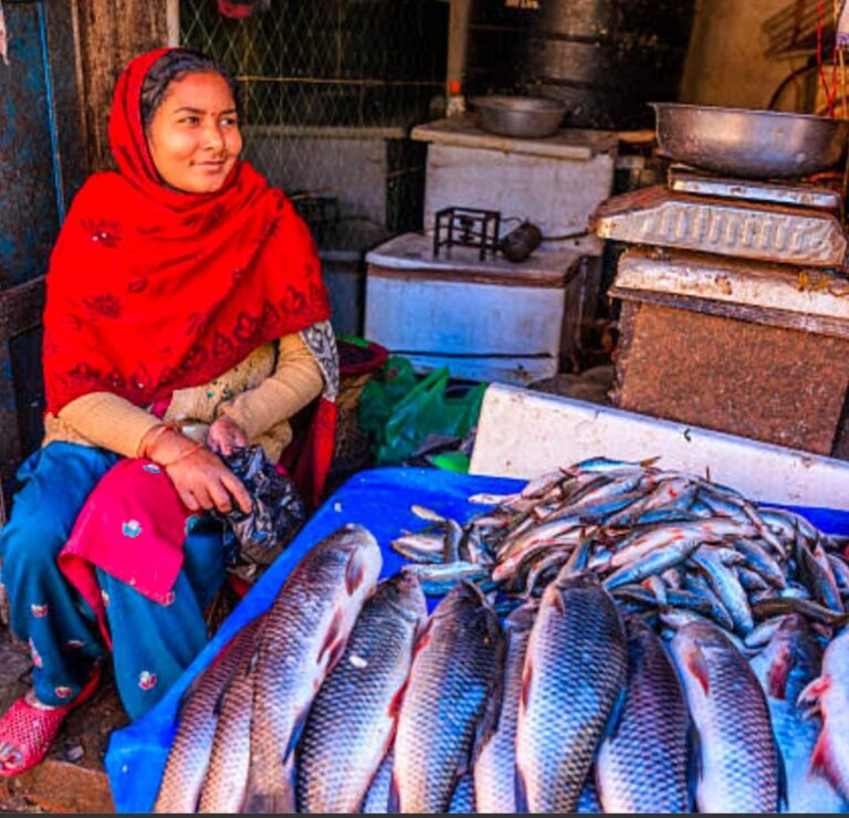 Mrigasira Karte..Huge fish sales in Telugu states