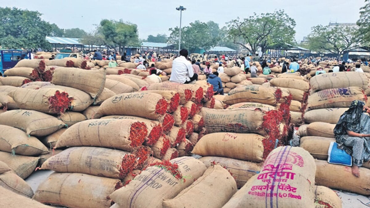 ఒక్కసారిగా కుప్ప కూలిన మిర్చి ధరలు