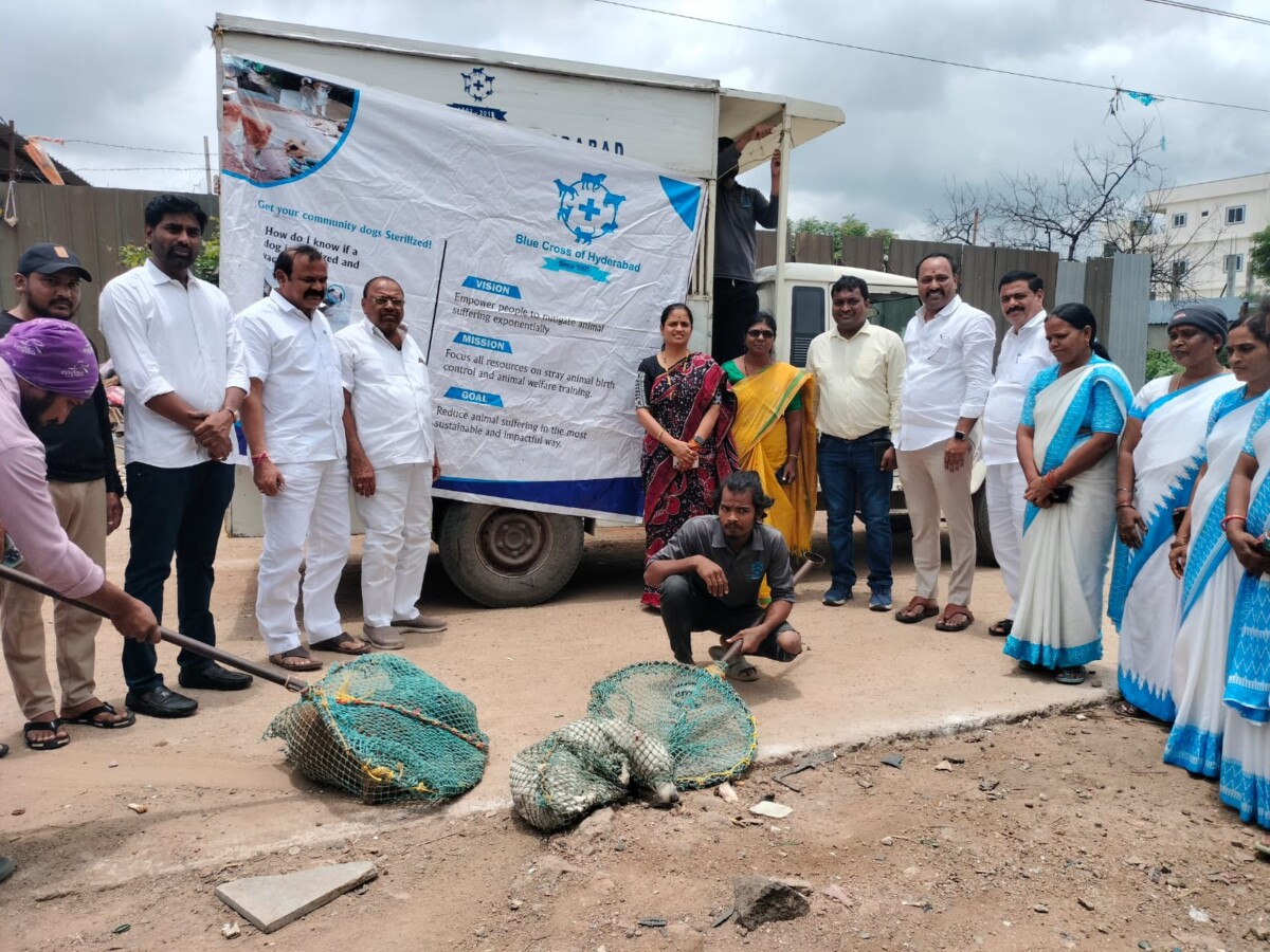 వీధి కుక్కలను ఎనిమల్ బర్త్ సెంటర్ కు తరలింపు