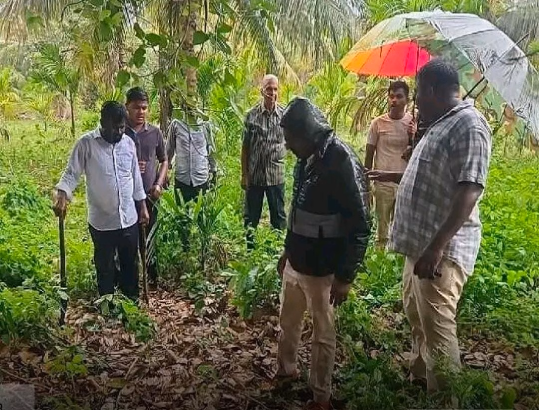 కొబ్బరి తోటలో చిరుత హల్ చల్ : అధికారులు ఏమన్నారంటే